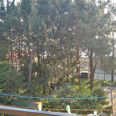 Apartment Agmashenebeli 99 Kobuleti Eksteriør bilde