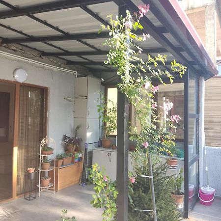 Apartment Agmashenebeli 99 Kobuleti Eksteriør bilde