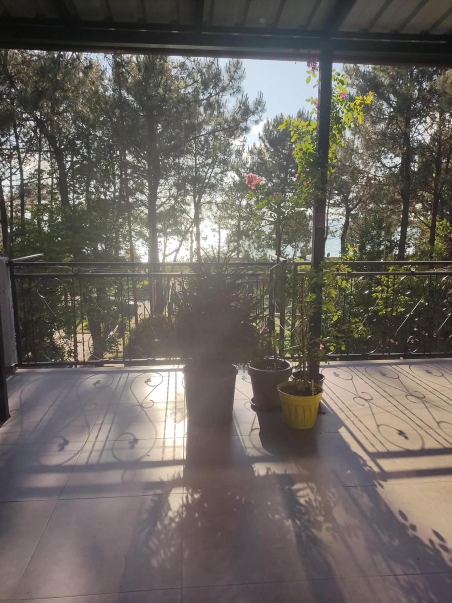 Apartment Agmashenebeli 99 Kobuleti Eksteriør bilde